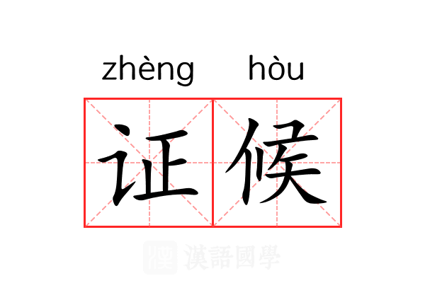 证候 证候