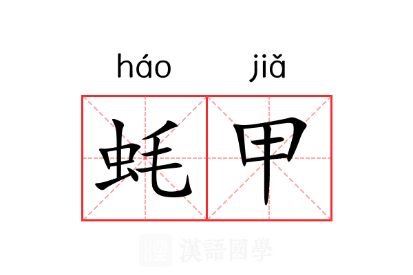 蚝甲 蚝甲