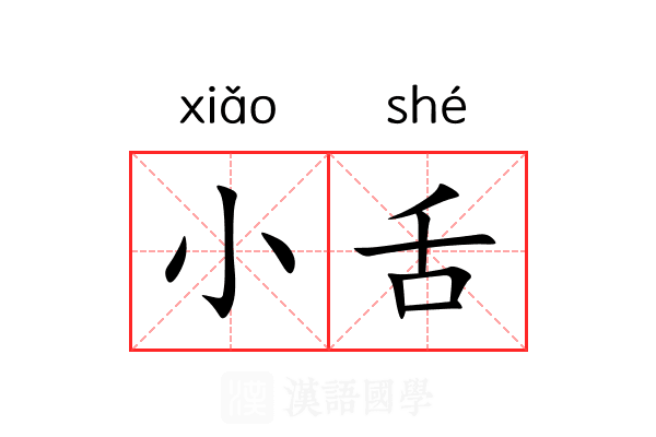 小舌 小舌
