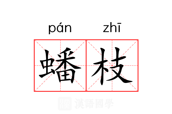 蟠枝 蟠枝