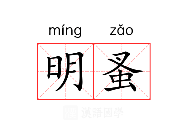 明蚤 明蚤