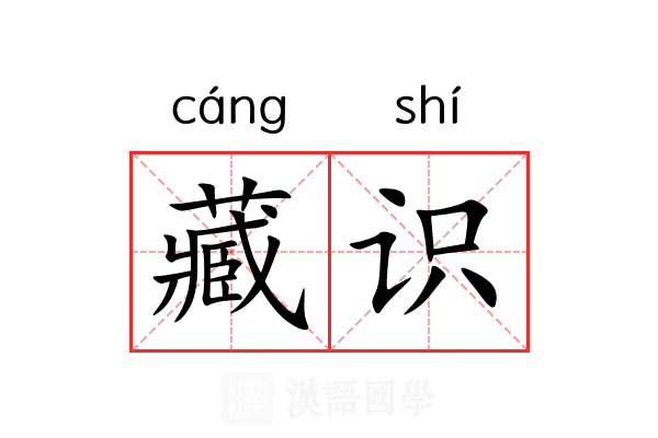 藏识 藏识