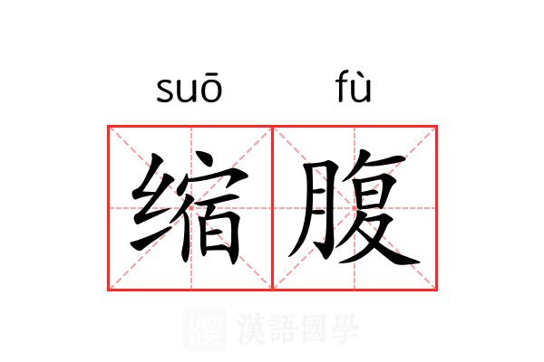 缩腹 缩腹