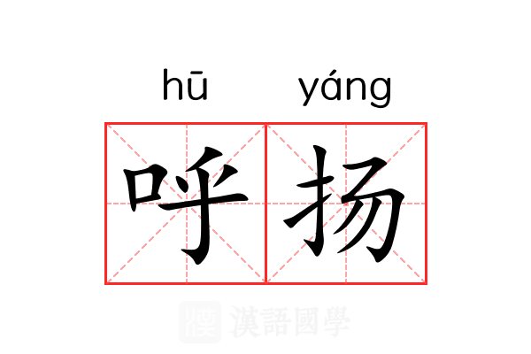 呼扬