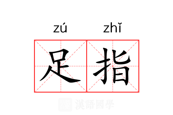 足指