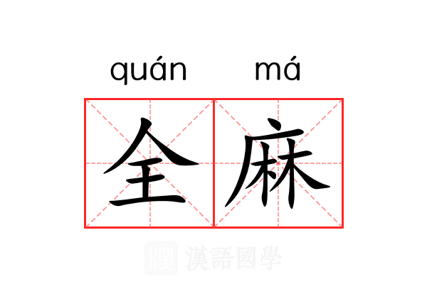 全麻 全麻