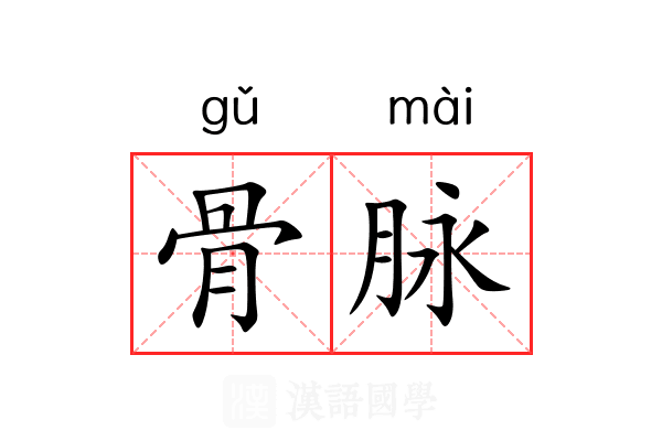 骨脉 骨脉