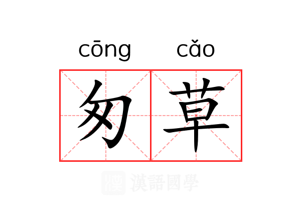 匆草