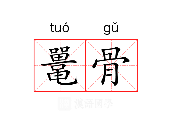 鼍骨 鼍骨