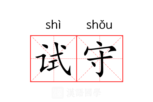 试守