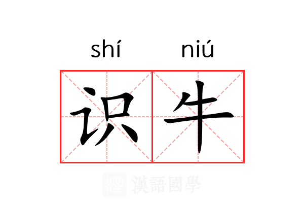 识牛 识牛