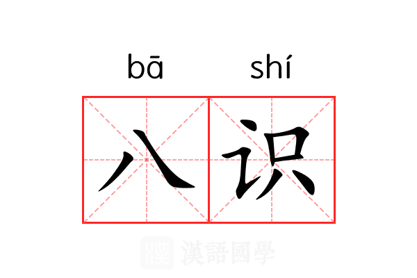 八识 八识