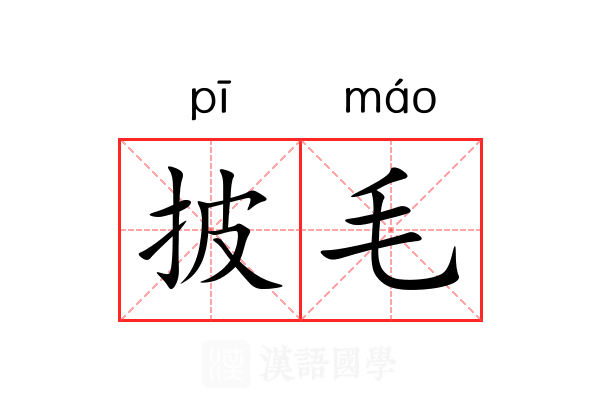 披毛 披毛