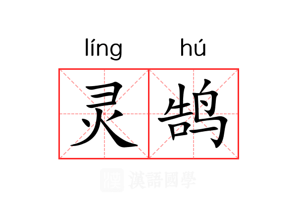灵鹄