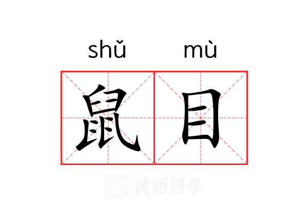 鼠目 鼠目