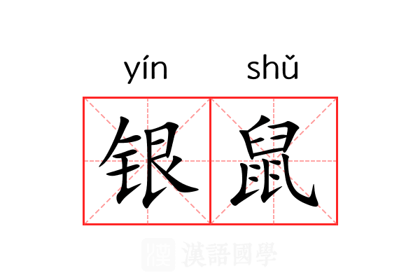 银鼠 银鼠