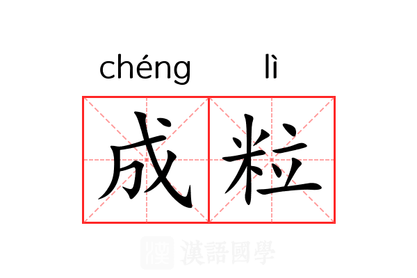 成粒 成粒