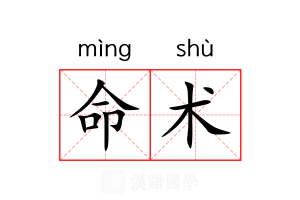命术 命术