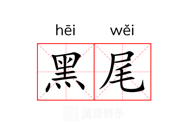 黑尾 黑尾
