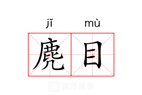 麂目 麂目