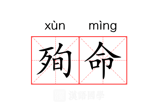 殉命 殉命