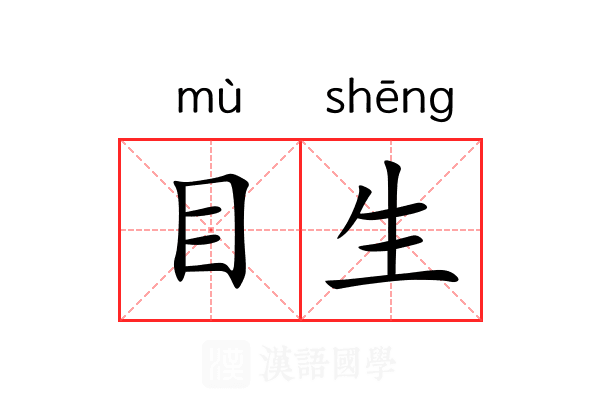 目生 目生