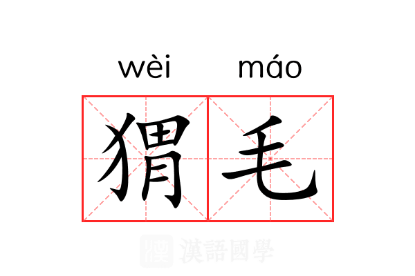 猬毛 猬毛