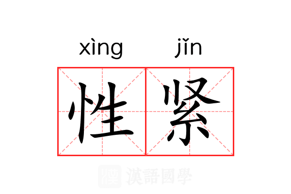 性紧 性紧
