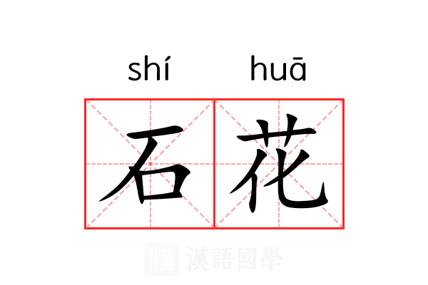 石花 石花