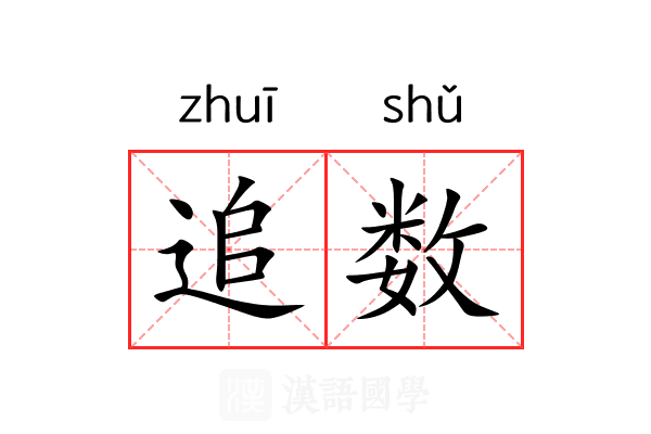 追数 追数