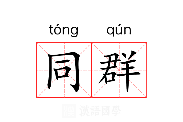 同群 同群