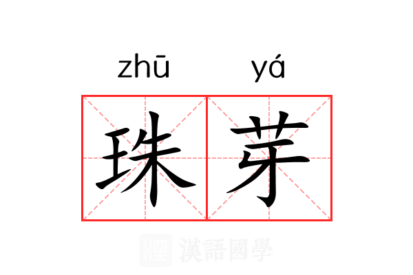 珠芽 珠芽