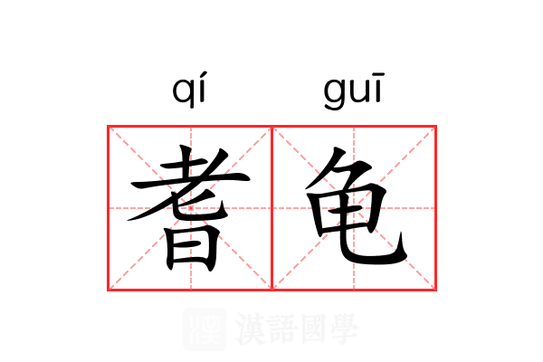 耆龟 耆龟