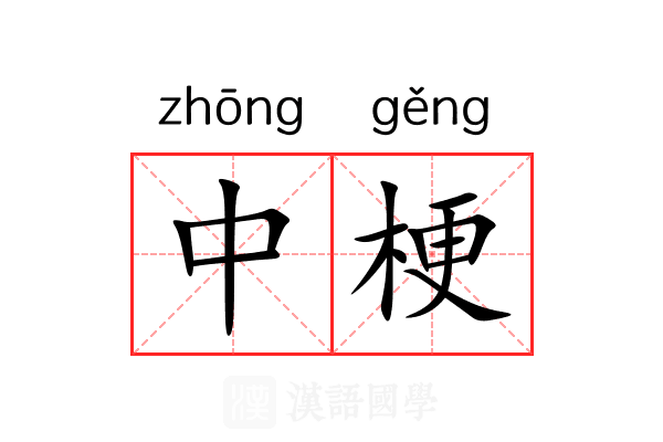 中梗 中梗