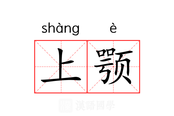 上颚 上颚