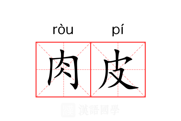 肉皮 肉皮
