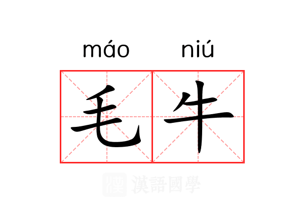 毛牛 毛牛