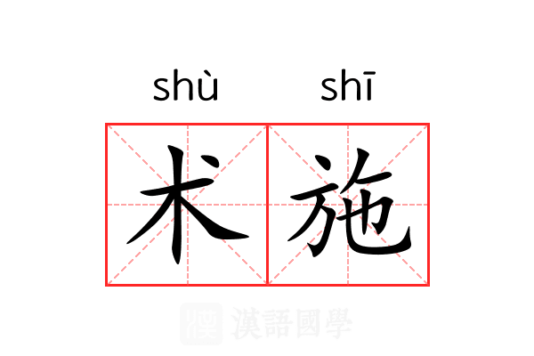 术施 术施