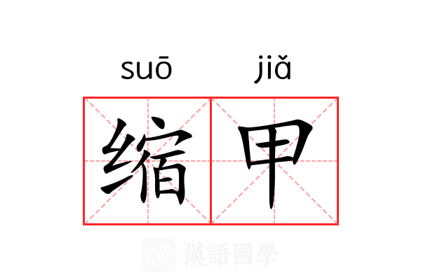 缩甲 缩甲