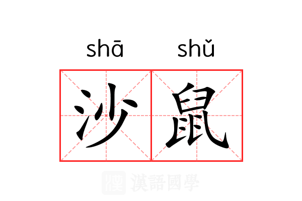沙鼠 沙鼠