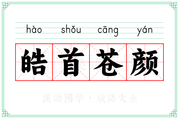 皓首苍颜 皓首苍颜