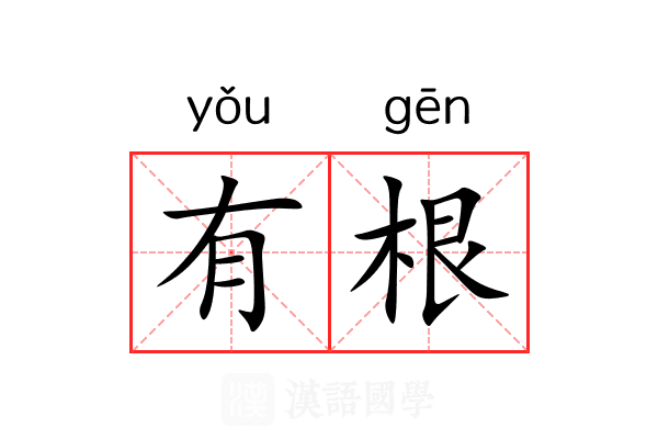有根 有根
