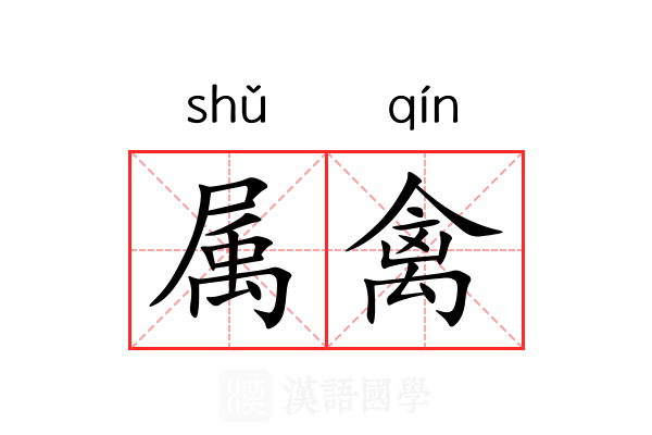 属禽