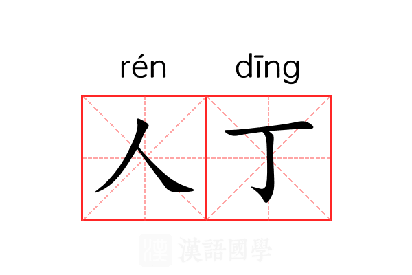 人丁 人丁