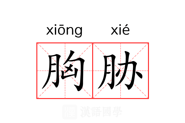 胸胁 胸胁