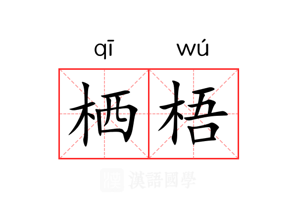 栖梧 栖梧