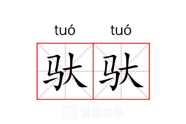 驮驮