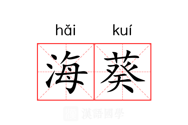 海葵 海葵