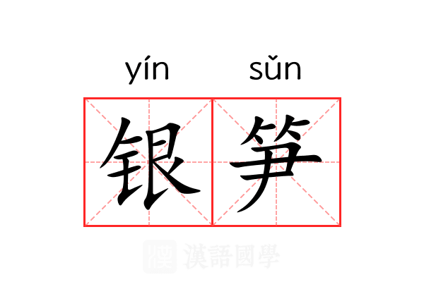 银笋 银笋