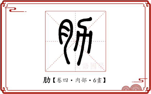肋 肋